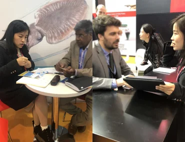 Zhengqisheng Zhengqisheng