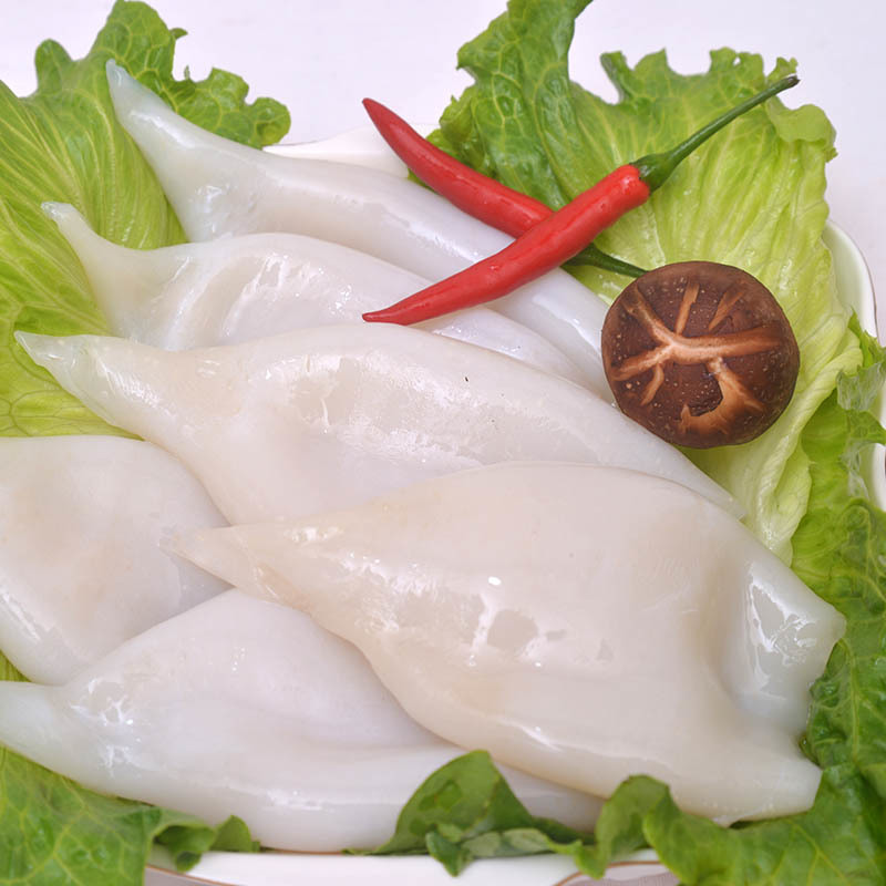 Squid Tube