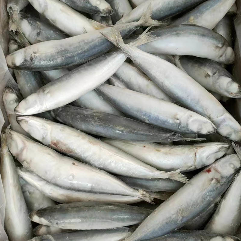 Frozen Round Scad