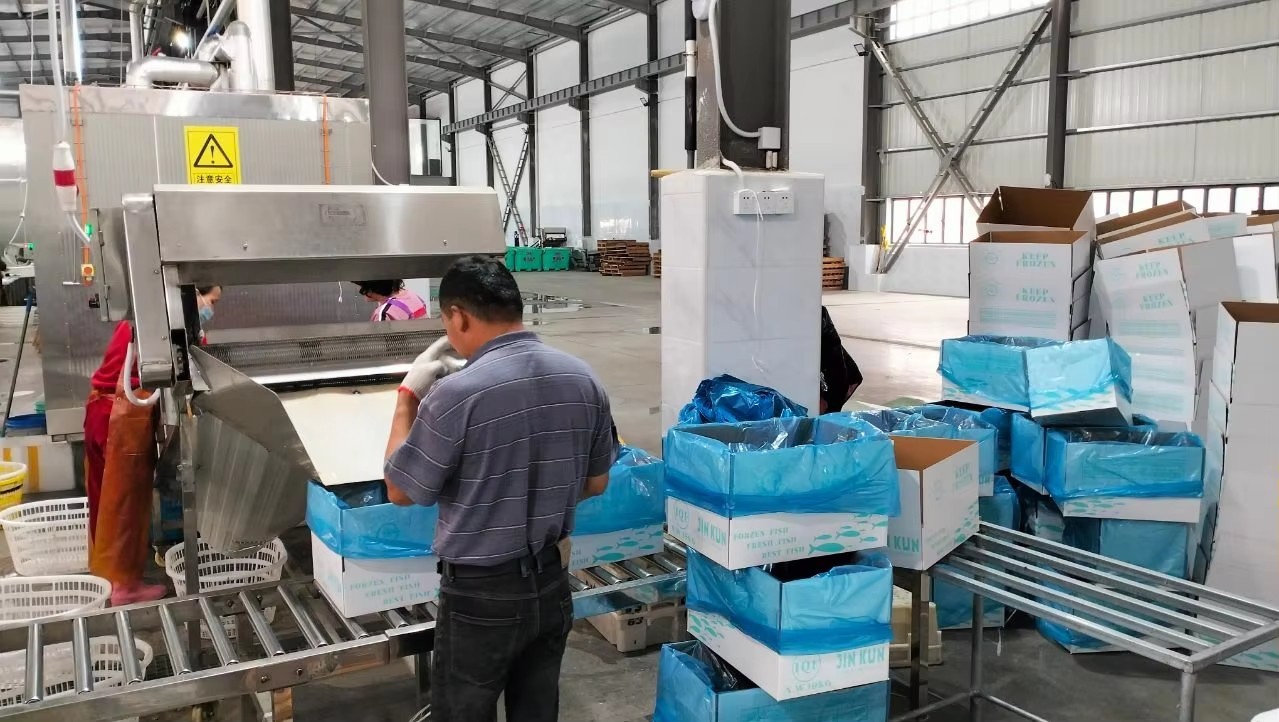 Zhengqisheng Zhengqisheng