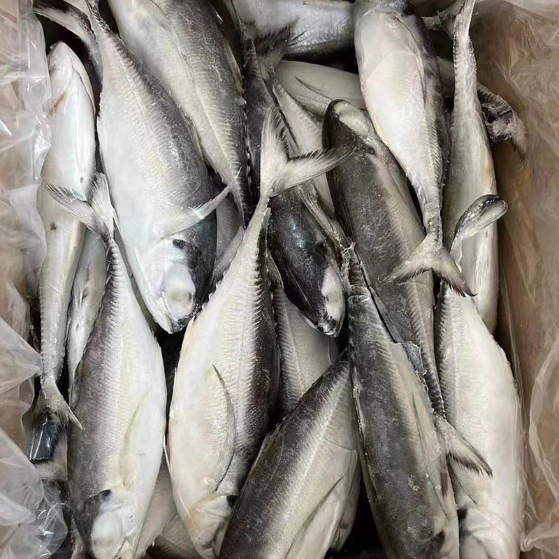 Frozen Iron armored fish