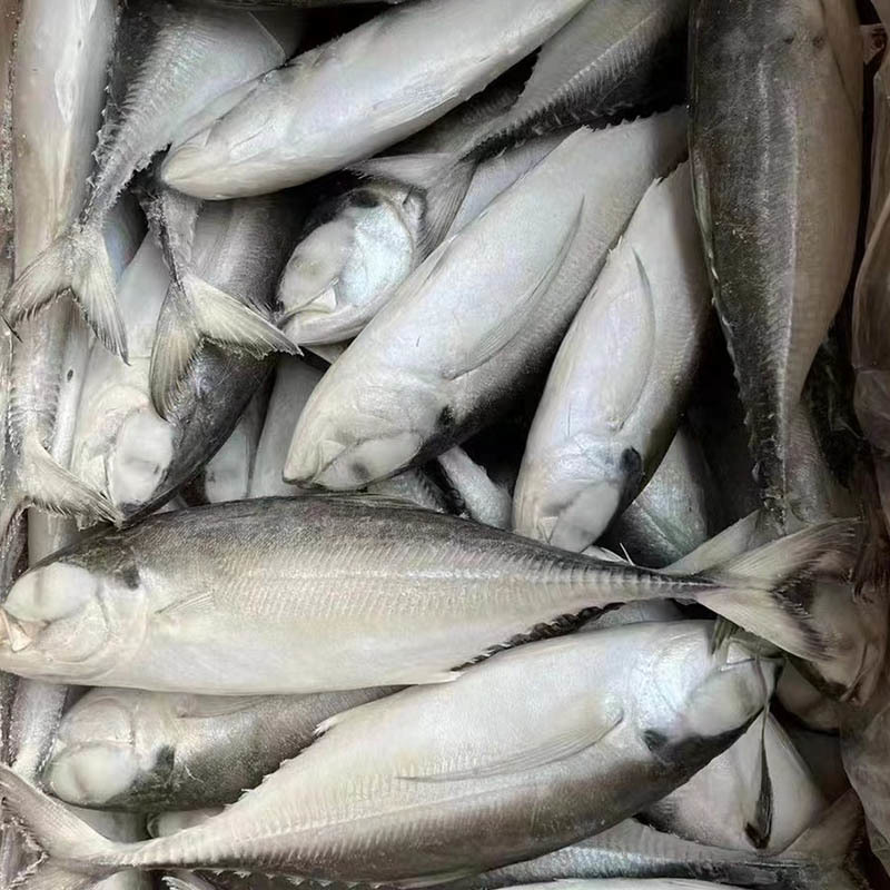 Frozen Iron armored fish