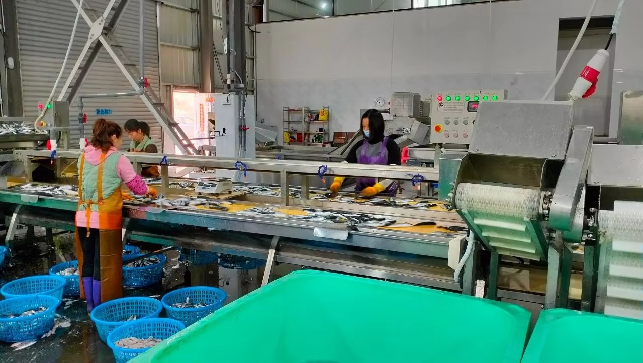 Zhengqisheng Zhengqisheng