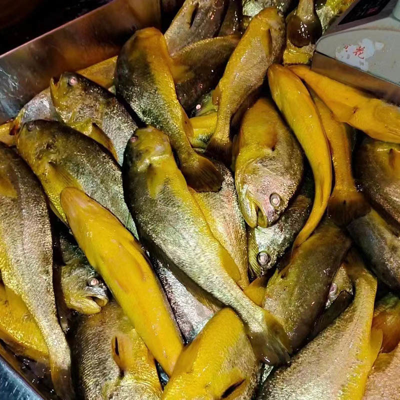 Frozen Yellow Croaker