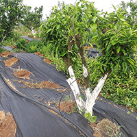 抚州市微雨润灌溉设备有限公司