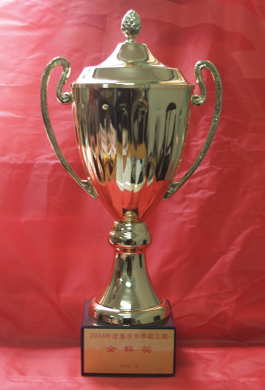 2008年度重庆市政工程金杯奖