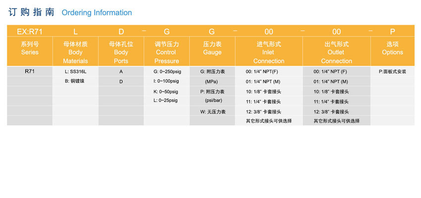 R71系列低压背压阀