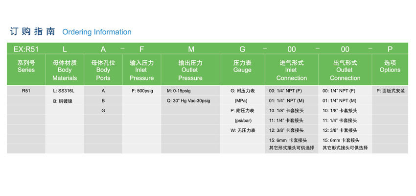 R51系列负压减压器