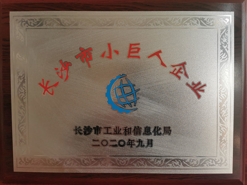 长沙市小巨人企业