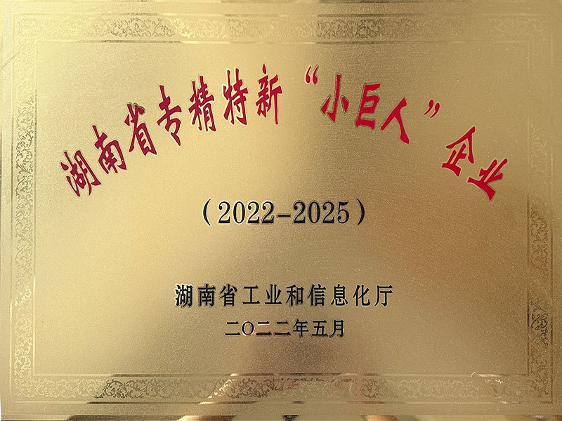 湖南省小巨人企业