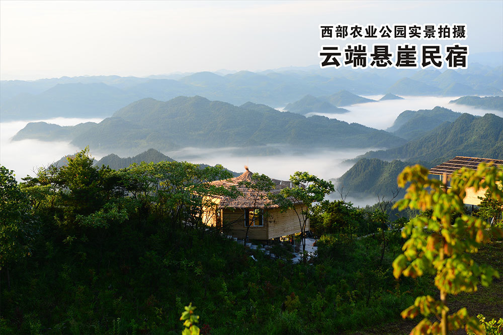 悬崖民宿夏景 悬崖民宿夏景