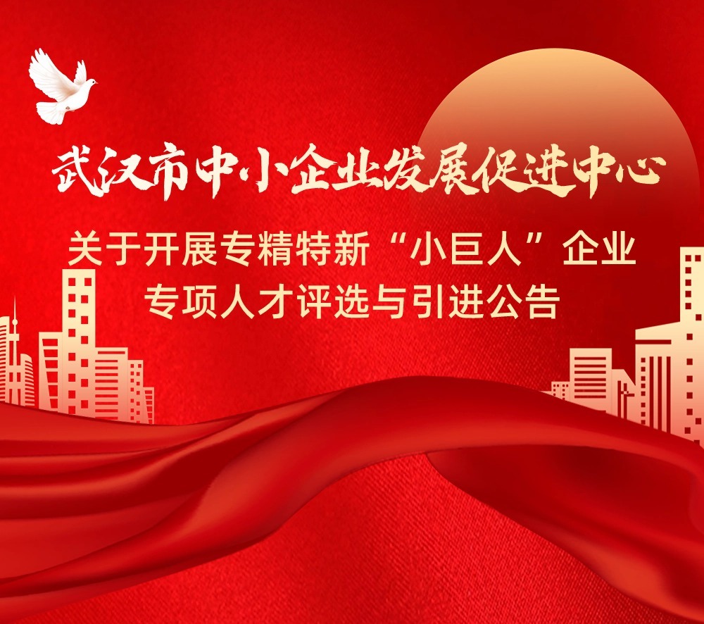 武汉市中小企业发展促进中心 关于开展专精特新“小巨人”企业专项人才评选与引进公告