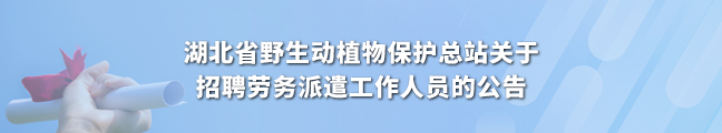 湖北省野生动植物保护总站关于招聘劳务派遣工作人员的公告