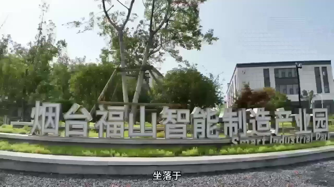 青洋