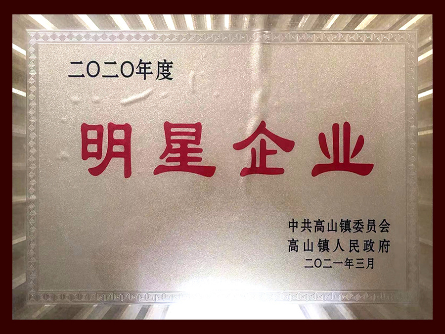 2020年度明星企業(yè)