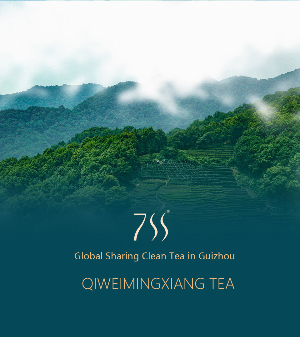 Qiweimingxiang Tea