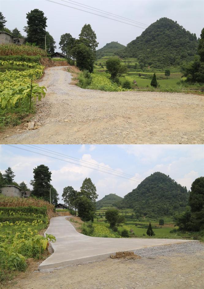 2013年度茶园机耕道1