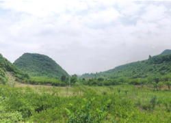 医院