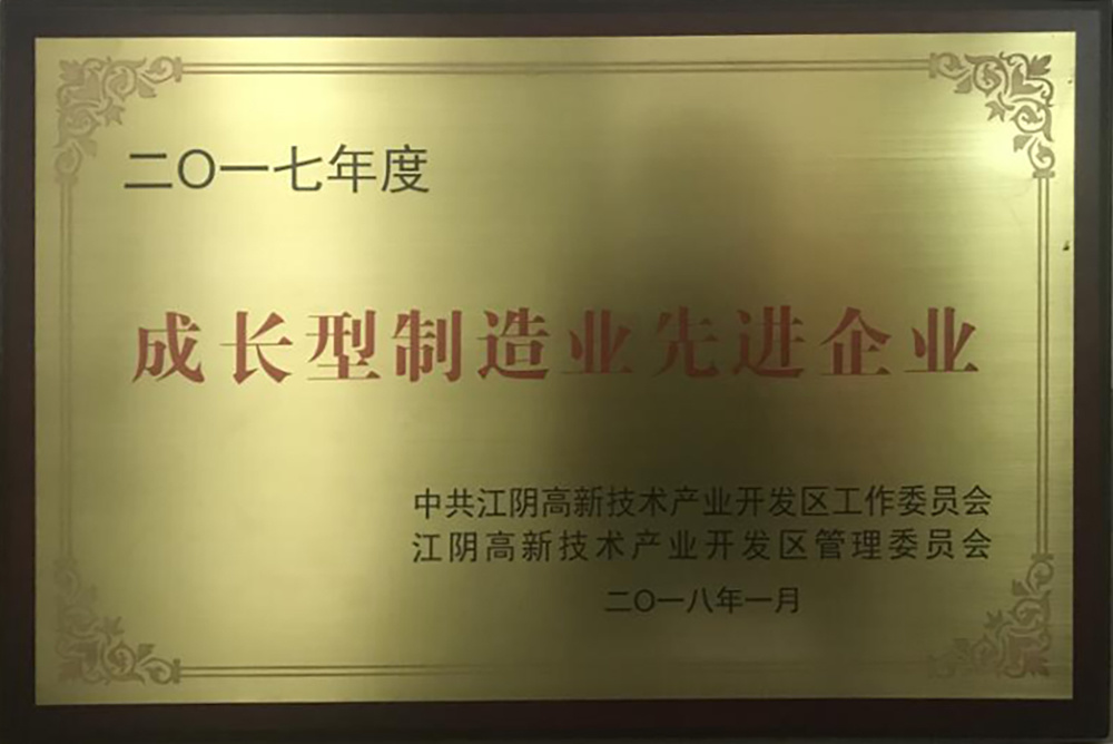 2017成長型制造先進企業(yè)