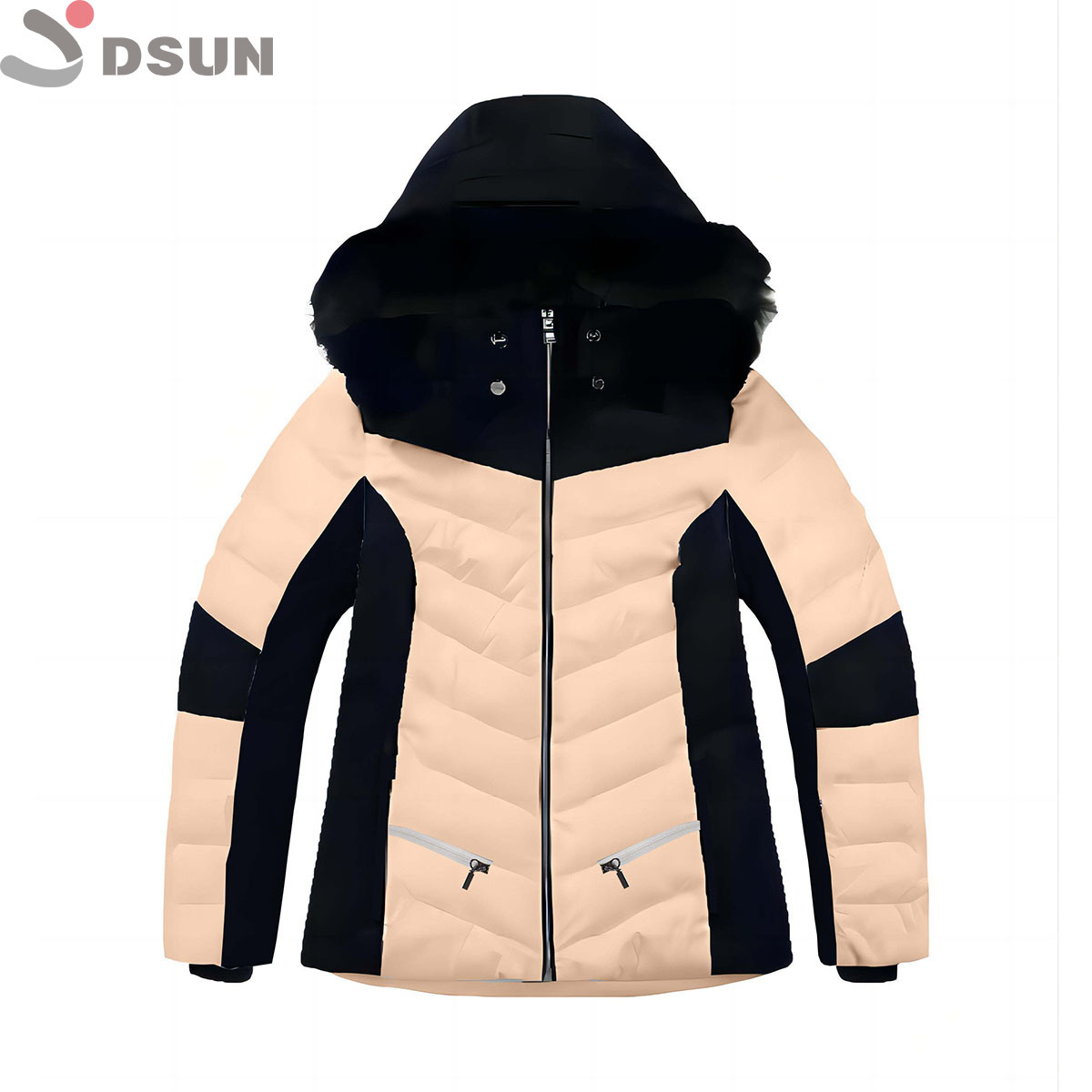 DS232211