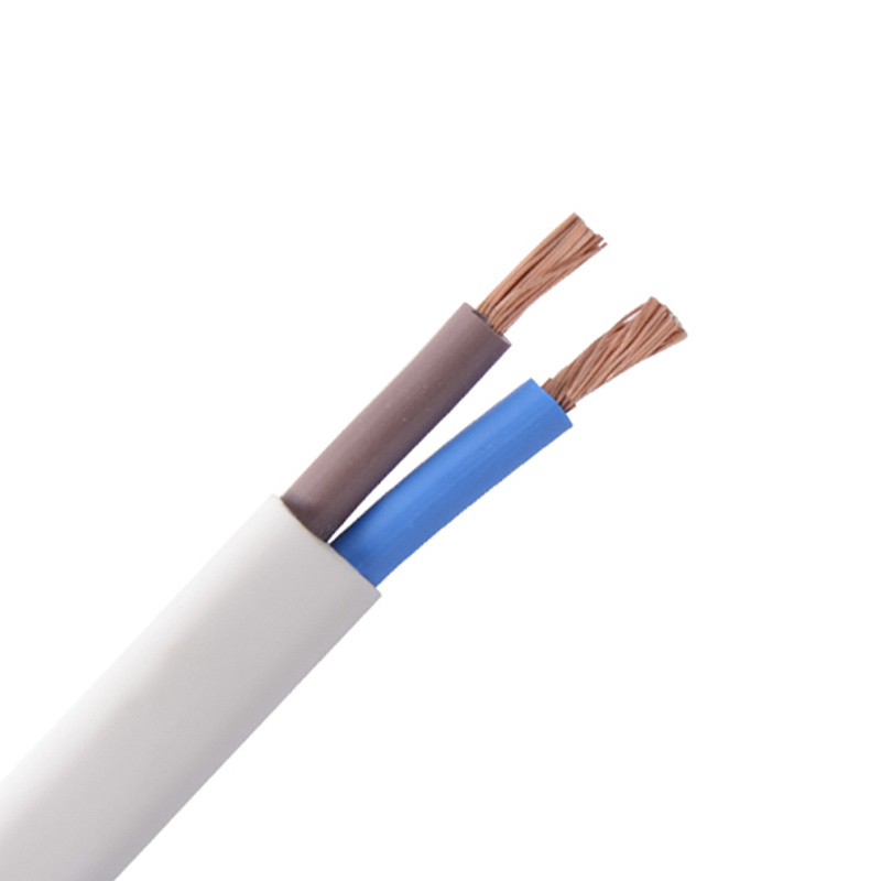 2 cores flat cable