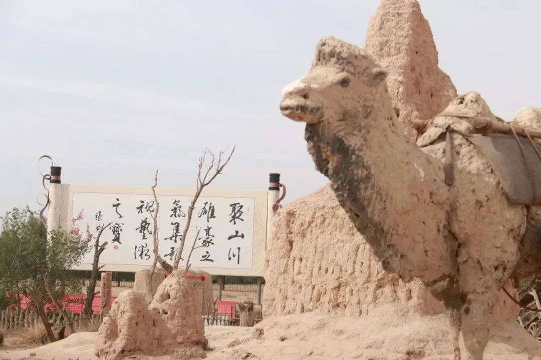 中農(nóng)優(yōu)嘉