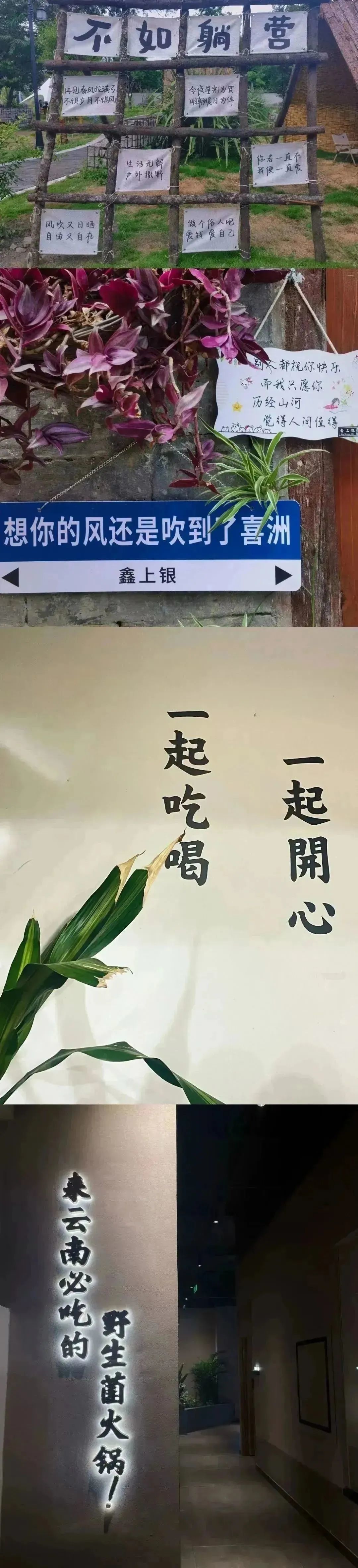 中農(nóng)優(yōu)嘉