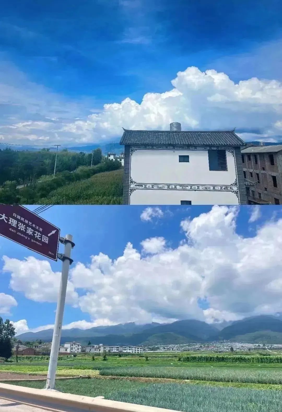 中農(nóng)優(yōu)嘉