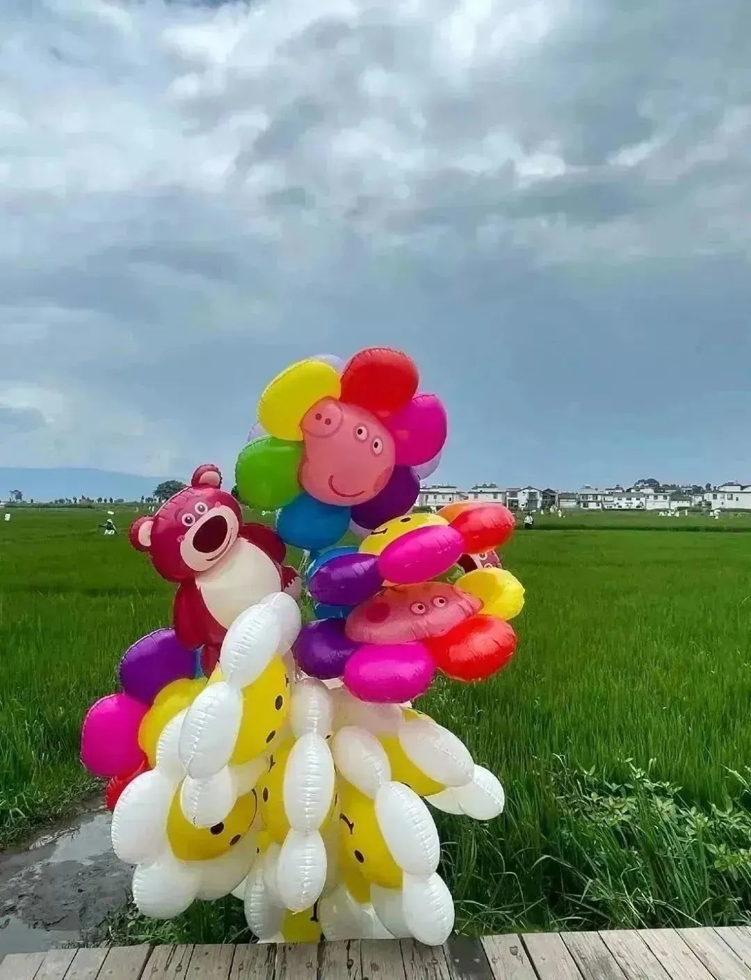 中農(nóng)優(yōu)嘉