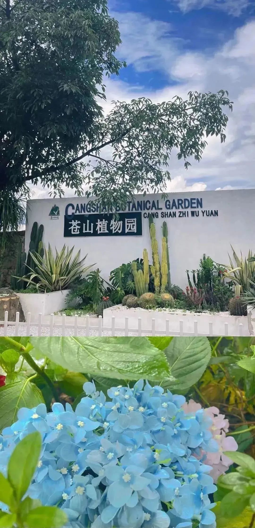 中農(nóng)優(yōu)嘉