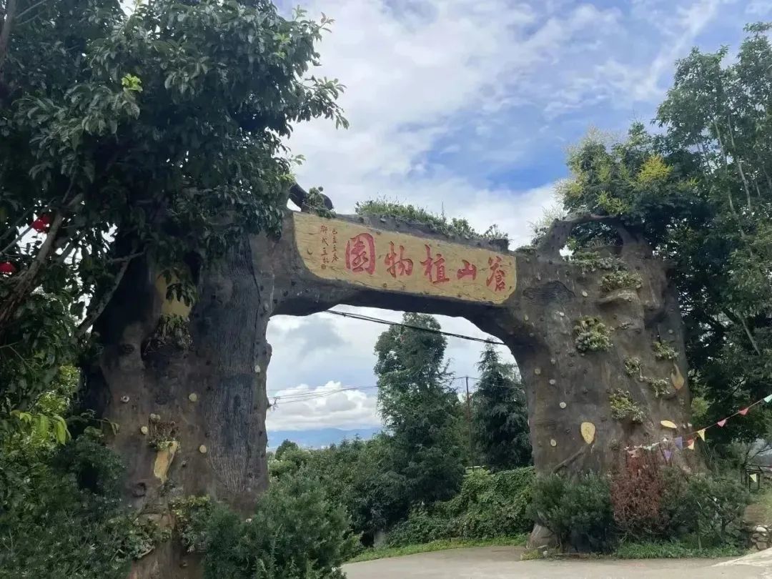 中農(nóng)優(yōu)嘉