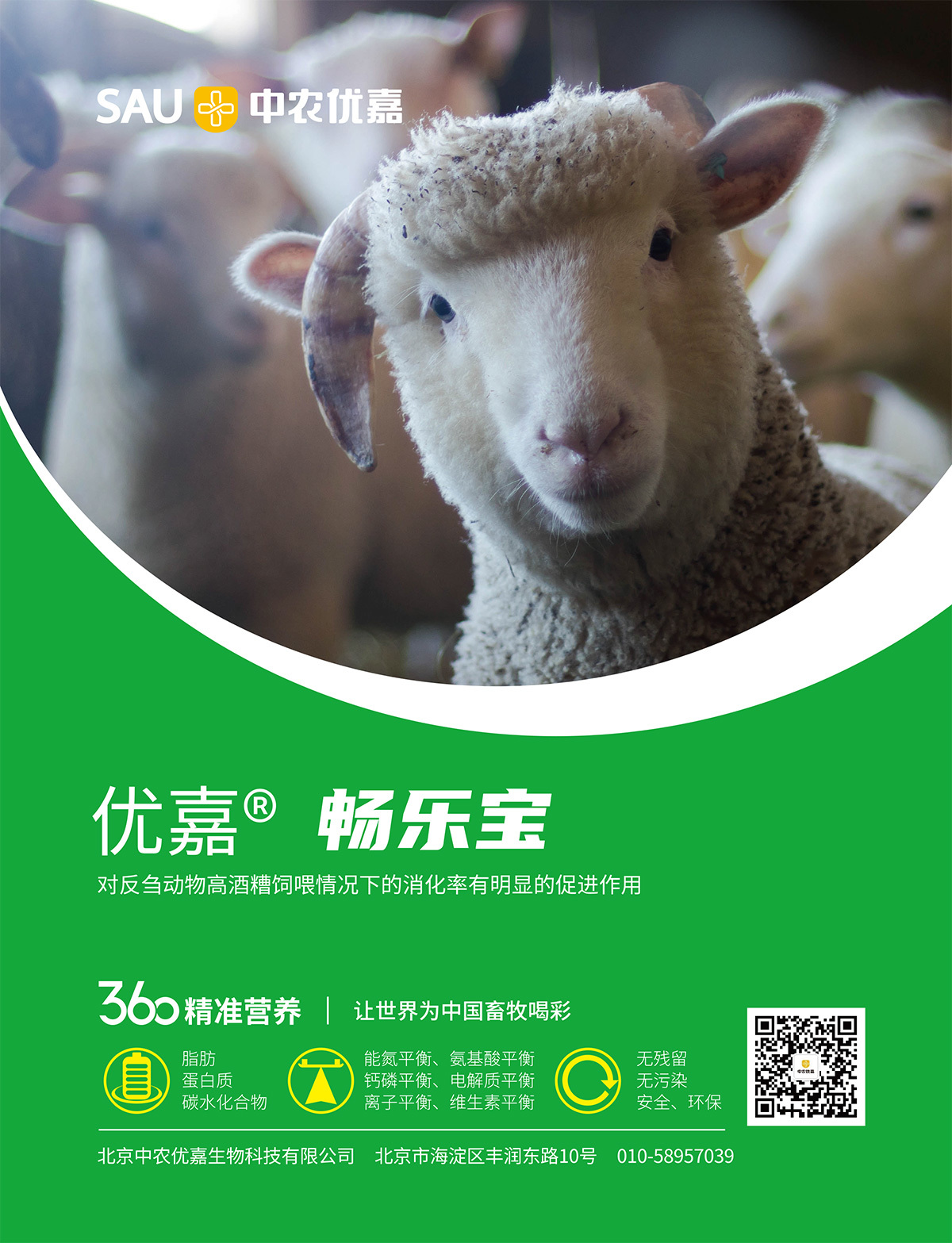 暢樂寶