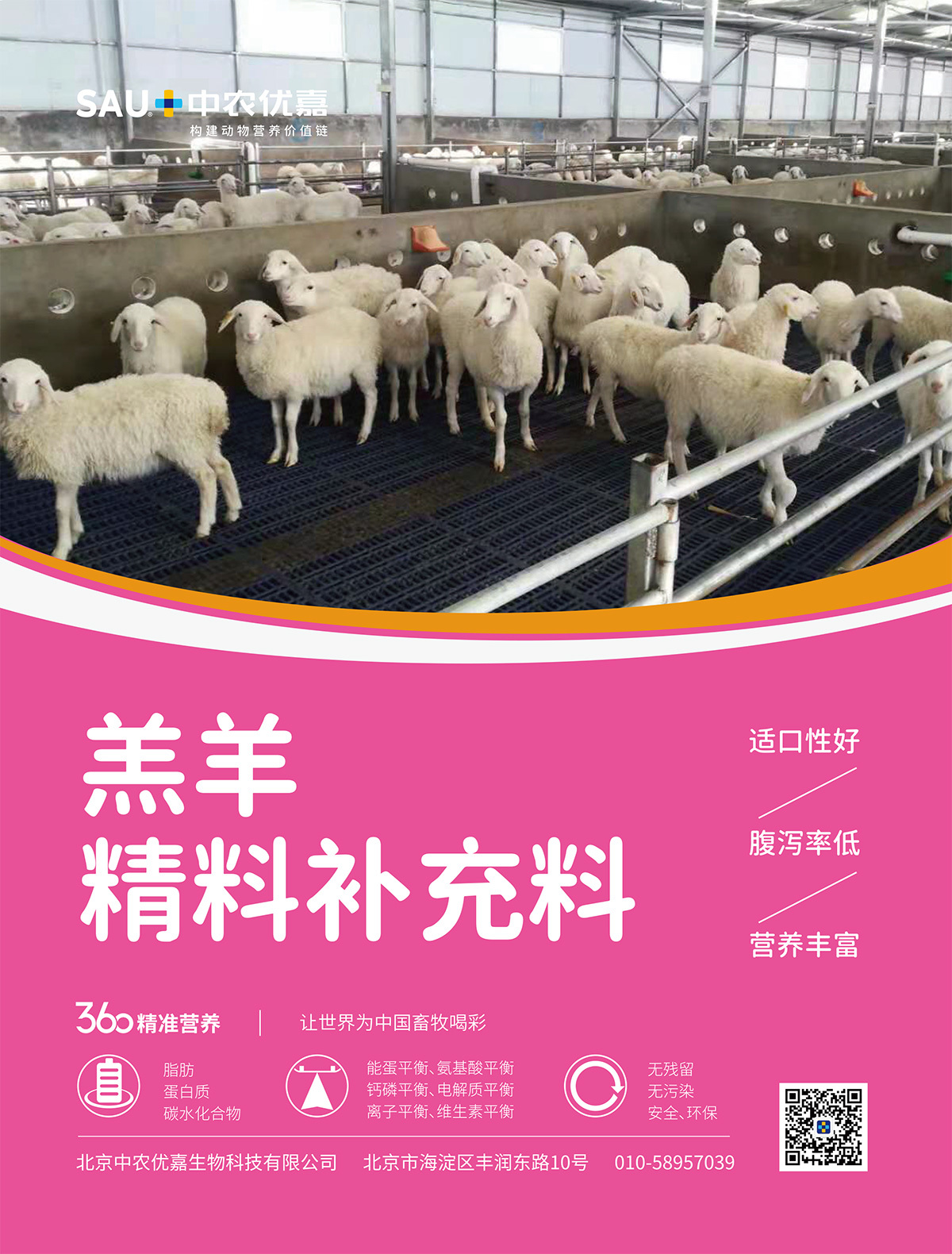 羔羊精料補(bǔ)充料