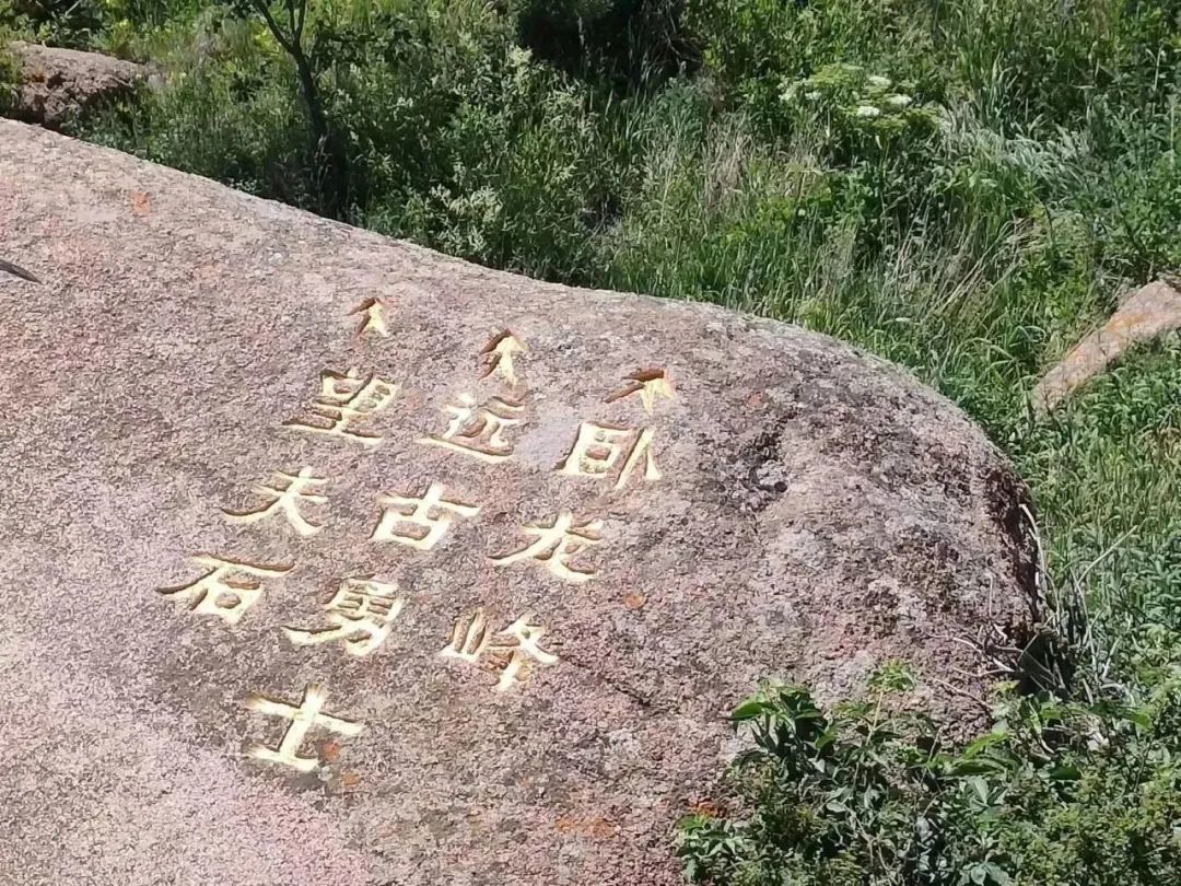 中農(nóng)優(yōu)嘉