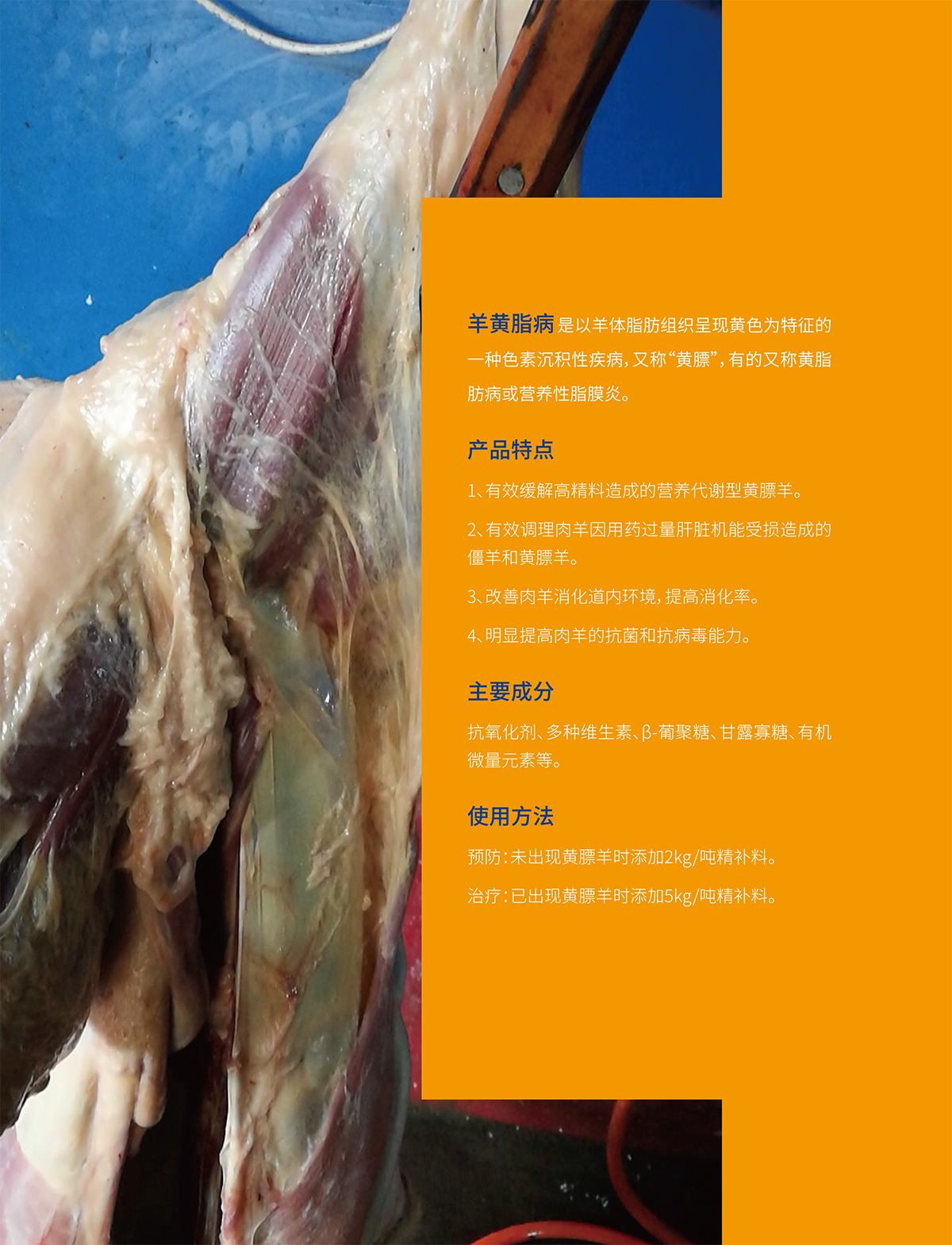 抗黃素