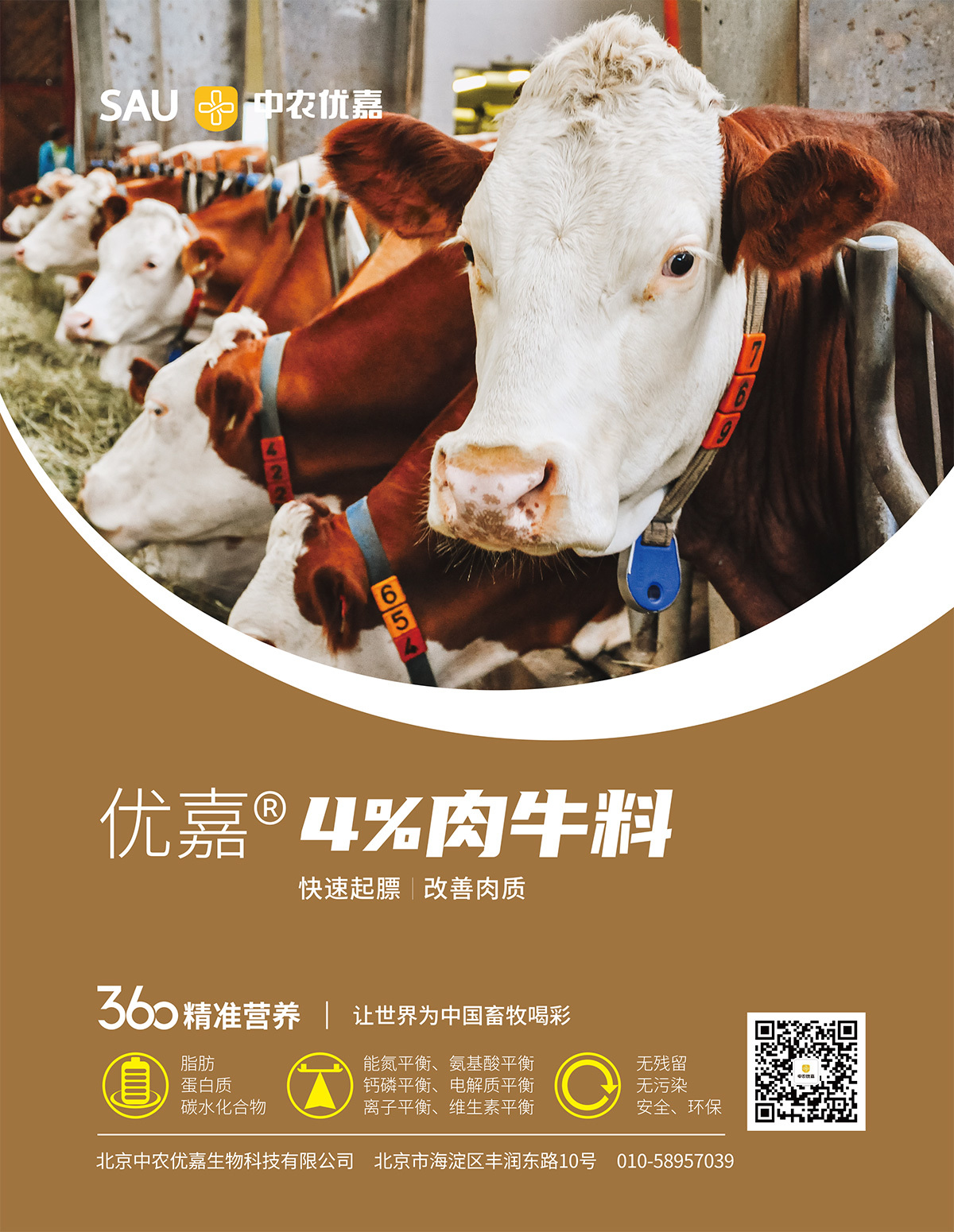4%牛肉料