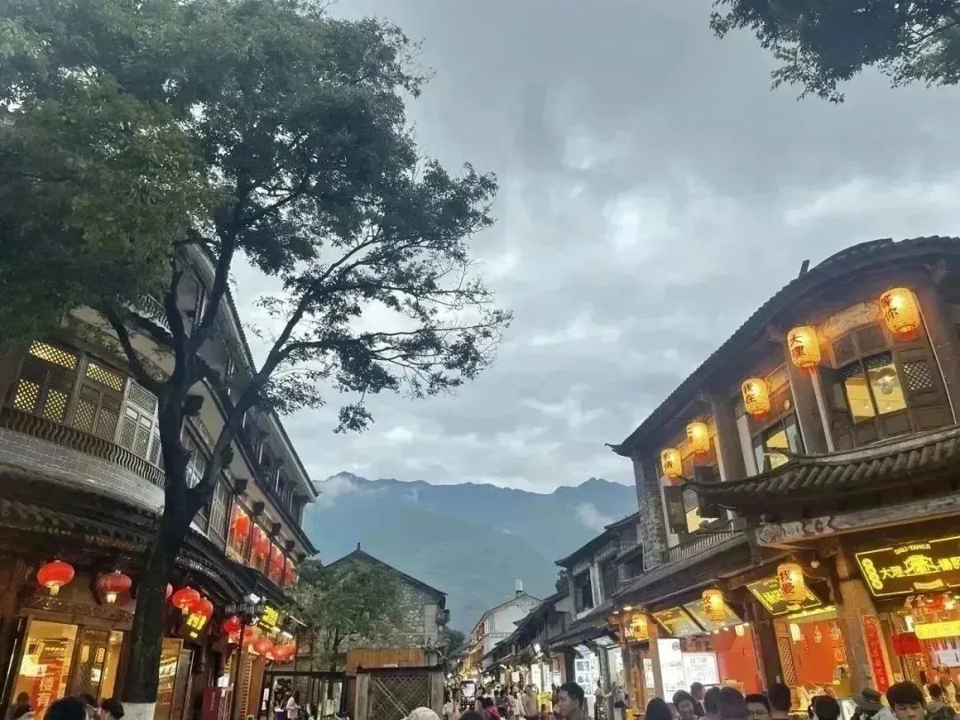 中農(nóng)優(yōu)嘉