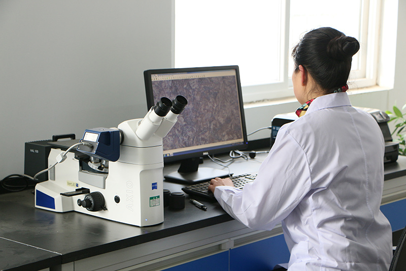 ZEISS Microscope