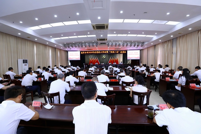 公司召开2020年度党建工作会暨“两优一先”表彰会