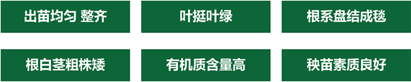 水稻育苗基质