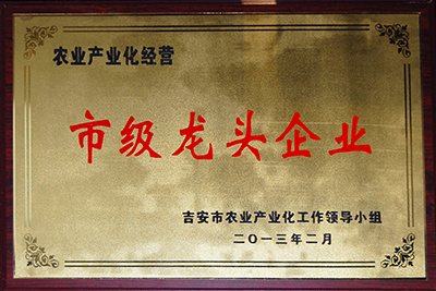 市級龍頭企業(yè)