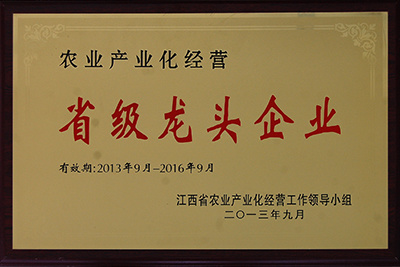 省級龍頭企業(yè)