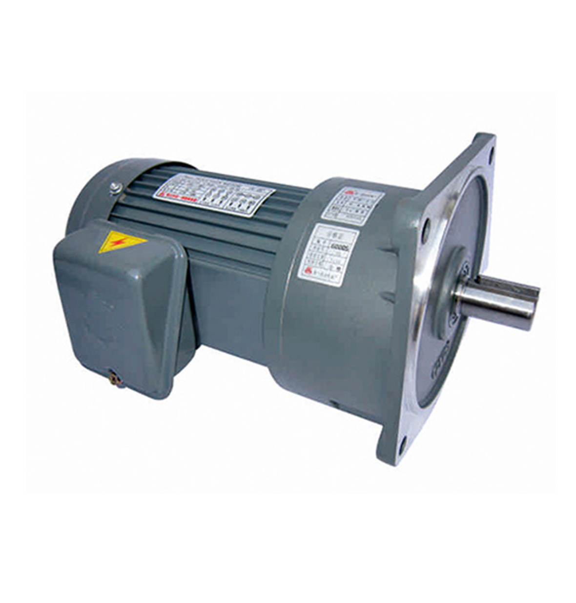 YV Vertical Gear Motor