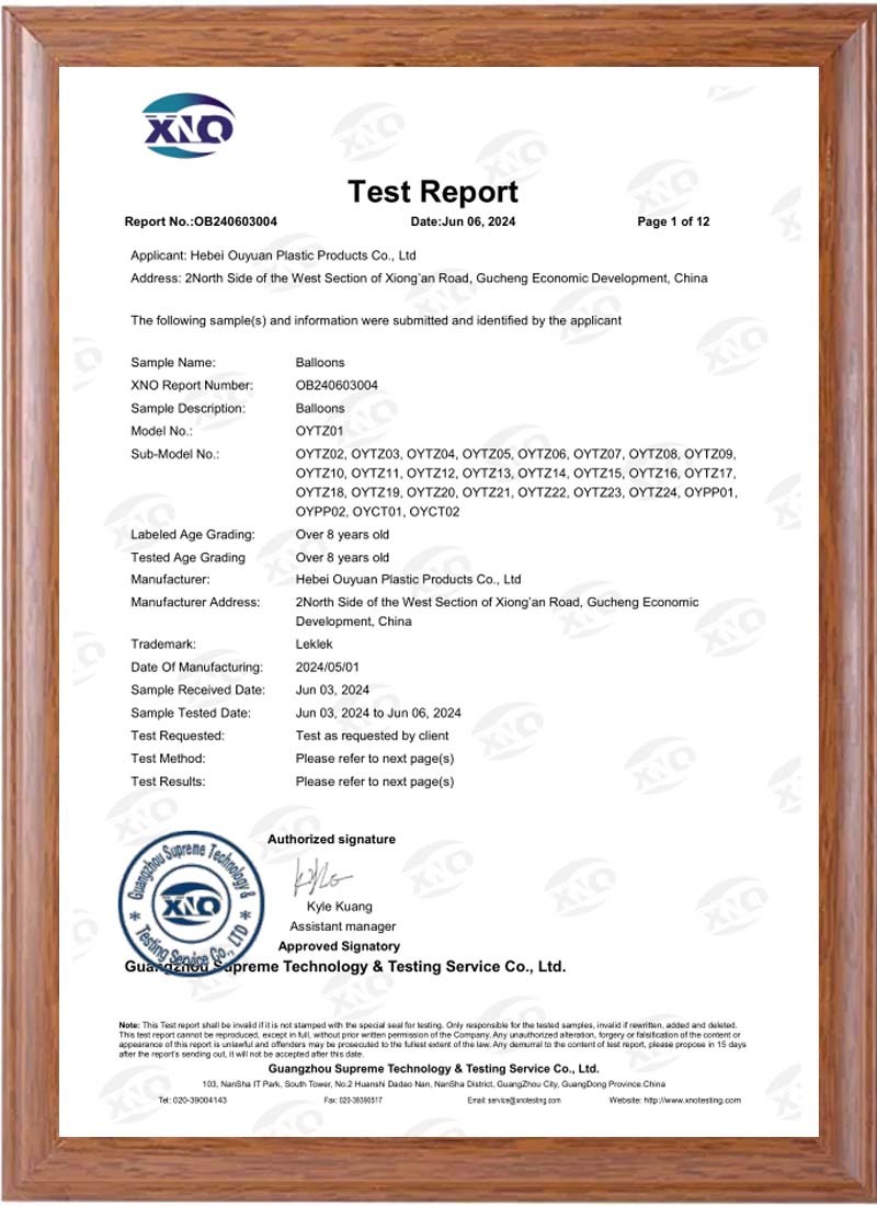 Test Report Test Report