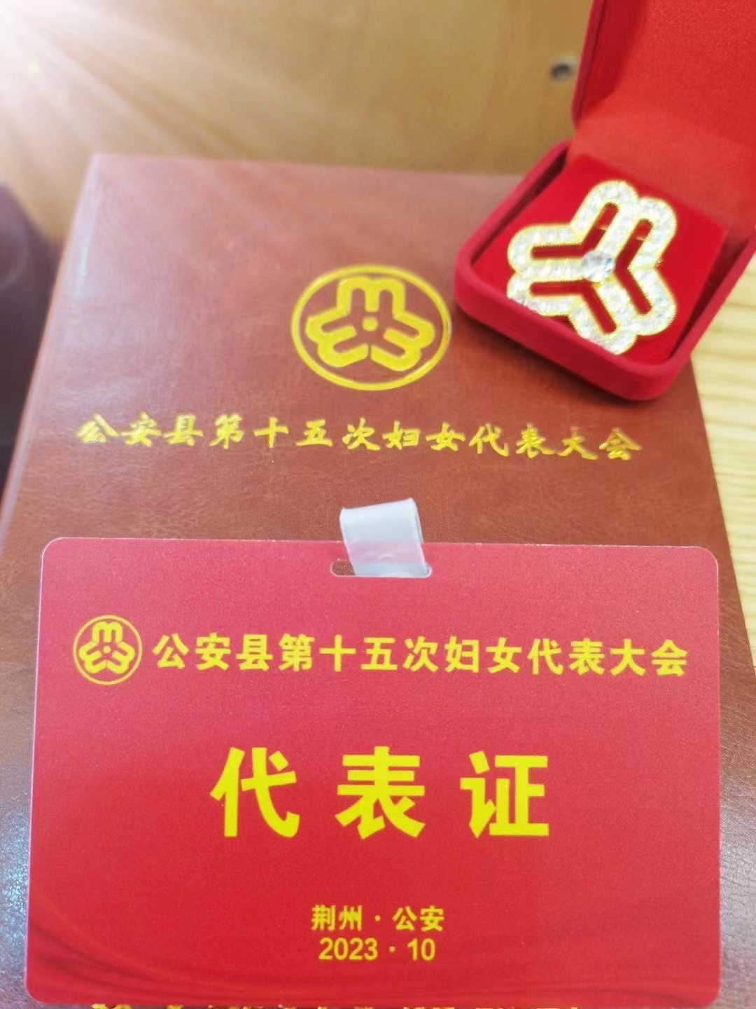 公安縣第十五婦女代表大會(huì)