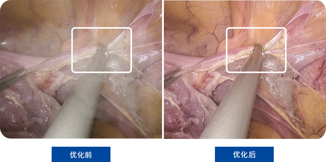 碳中和節(jié)能減排