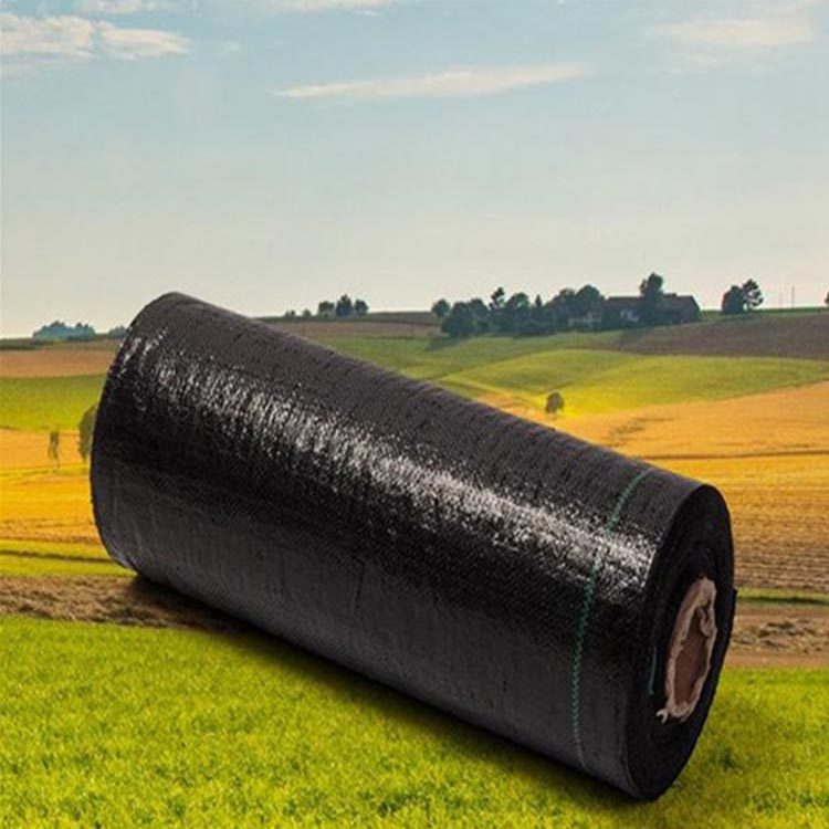 Exploring the Benefits of Root Barrier Geomembranes in Construction