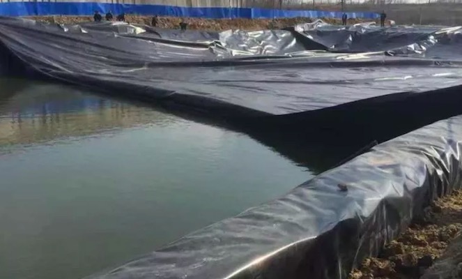 Irrigation canal geomembrane in China components