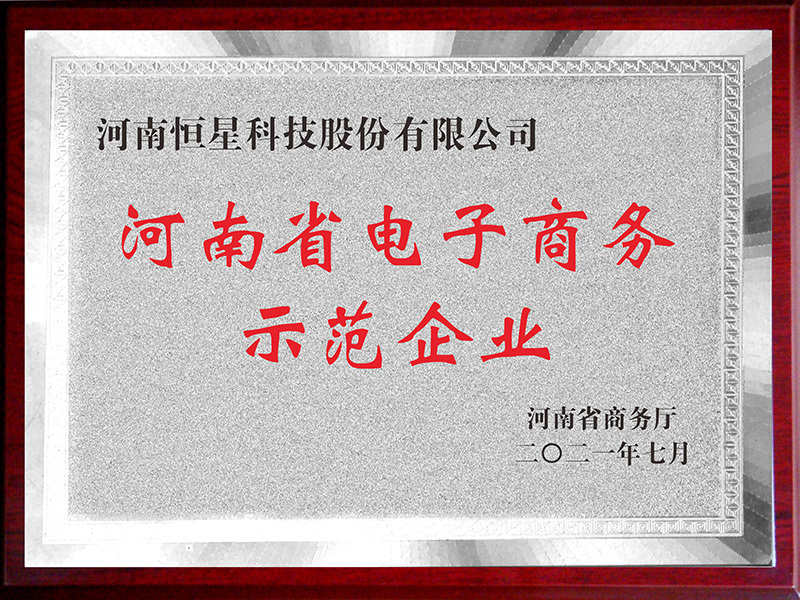 河南省電子商務示范企業