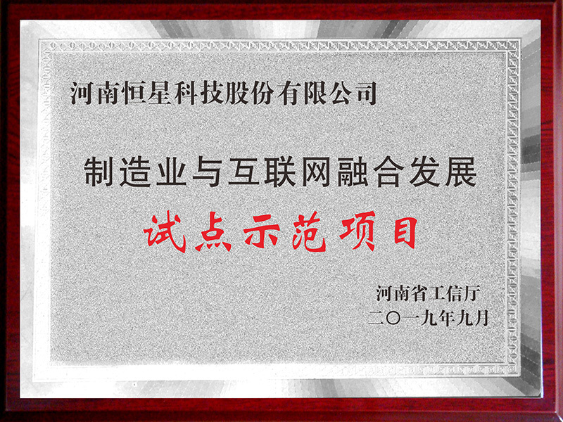 制造業與互聯網融合發展試點示范項目